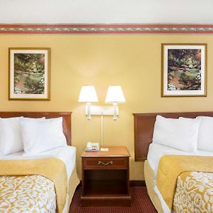Double Room Two Double Beds Non-Smoking